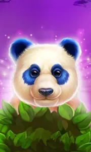 Luck of Panda: Bonus Combo