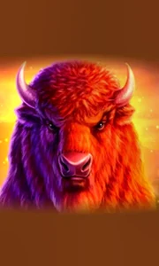 Buffalo 50