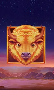 Buffalo's Sun 2
